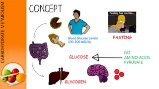 CARBOHYDRATEMETABOLISM
GLYCOGEN
Blood Glucose Levels
100-200 MG/DL
FASTING
 