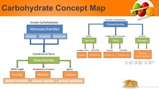 Carbohydrate Concept Map
 