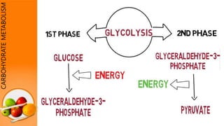 CARBOHYDRATEMETABOLISM
 