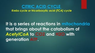 Comprehensive Overview of the Citric Acid Cycle and Electron Transport ...