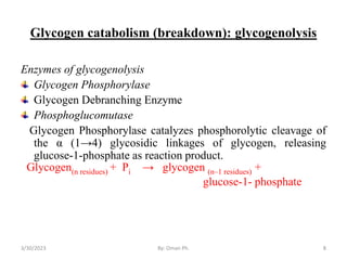 Carbohydrate Metabolism for HO.pptx