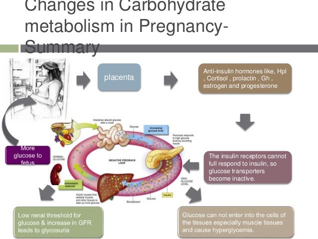 carbohydrate-metabolism-in-pregnancy