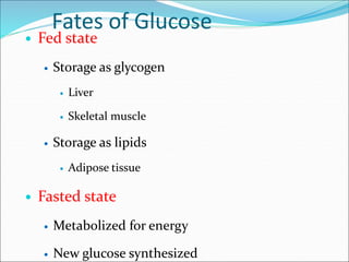 Fates of Glucose
 Fed state
 Storage as glycogen
 Liver
 Skeletal muscle
 Storage as lipids
 Adipose tissue
 Fasted state
 Metabolized for energy
 New glucose synthesized
 