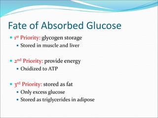 Fate of Absorbed Glucose
 1st Priority: glycogen storage
 Stored in muscle and liver
 2nd Priority: provide energy
 Oxidized to ATP
 3rd Priority: stored as fat
 Only excess glucose
 Stored as triglycerides in adipose
 