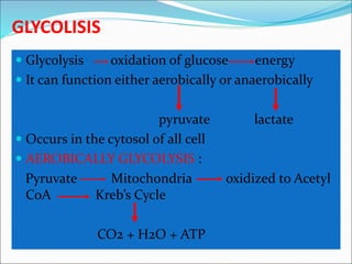 GLYCOLISIS
 Glycolysis oxidation of glucose energy
 It can function either aerobically or anaerobically
pyruvate lactate
 Occurs in the cytosol of all cell
 AEROBICALLY GLYCOLYSIS :
Pyruvate Mitochondria oxidized to Acetyl
CoA Kreb’s Cycle
CO2 + H2O + ATP
 