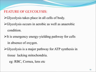 19
FEATURE OF GLYCOLYSIS:
Glycolysis takes place in all cells of body.
Glycolysis occurs in aerobic as well as anaerobic
condition.
It is emergency energy-yielding pathway for cells
in absence of oxygen.
Glycolysis is a major pathway for ATP synthesis in
tissue lacking mitochondria.
eg: RBC, Cornea, lens etc
 