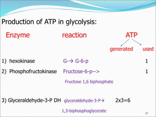 21
Production of ATP in glycolysis:
Enzyme reaction ATP
generated used
1) hexokinase G- G-6-p 1
2) Phosphofructokinase Fructose-6-p--> 1
Fructose 1,6 biphosphate
3) Glyceraldehyde-3-P DH glyceraldehyde-3-P 2x3=6
1,3-biphosphoglycerate
 