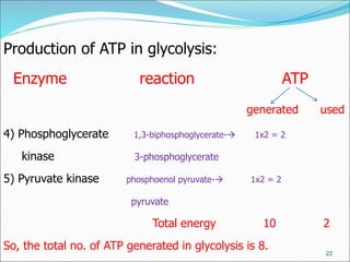 22
Production of ATP in glycolysis:
Enzyme reaction ATP
generated used
4) Phosphoglycerate 1,3-biphosphoglycerate- 1x2 = 2
kinase 3-phosphoglycerate
5) Pyruvate kinase phosphoenol pyruvate- 1x2 = 2
pyruvate
Total energy 10 2
So, the total no. of ATP generated in glycolysis is 8.
 