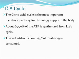 TCA Cycle
The Citric acid cycle is the most important
metabolic pathway for the energy supply to the body.
About 65-70% of the ATP is synthesized from kreb
cycle.
This cell utilized about 2/3rd of total oxygen
consumed.
 