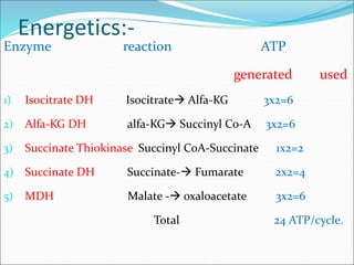 Energetics:-
Enzyme reaction ATP
generated used
1) Isocitrate DH Isocitrate Alfa-KG 3x2=6
2) Alfa-KG DH alfa-KG Succinyl Co-A 3x2=6
3) Succinate Thiokinase Succinyl CoA-Succinate 1x2=2
4) Succinate DH Succinate- Fumarate 2x2=4
5) MDH Malate - oxaloacetate 3x2=6
Total 24 ATP/cycle.
 