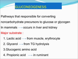 GLUCONEOGENESIS
Pathways that responsible for converting
noncarbohydrate precursors to glucose or glycogen
In mammals occurs in liver and kidney
Major substrate :
1. Lactic acid from muscle, erythrocyte
2. Glycerol from TG hydrolysis
3.Glucogenic amino acid
4. Propionic acid in ruminant
 