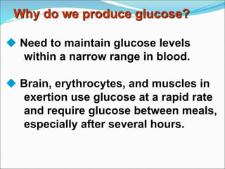 Why do we produce glucose?
 Need to maintain glucose levels
within a narrow range in blood.
 Brain, erythrocytes, and muscles in
exertion use glucose at a rapid rate
and require glucose between meals,
especially after several hours.
 