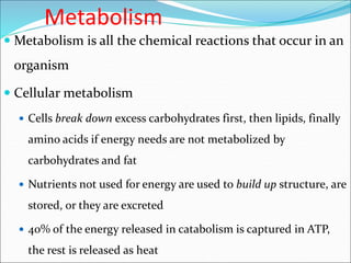  Metabolism is all the chemical reactions that occur in an
organism
 Cellular metabolism
 Cells break down excess carbohydrates first, then lipids, finally
amino acids if energy needs are not metabolized by
carbohydrates and fat
 Nutrients not used for energy are used to build up structure, are
stored, or they are excreted
 40% of the energy released in catabolism is captured in ATP,
the rest is released as heat
Metabolism
 