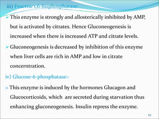 iii) Fructise 1,6-bisphosphatase:
This enzyme is strongly and allosterically inhibited by AMP,
but is activated by citrates. Hence Gluconeogenesis is
increased when there is increased ATP and citrate levels.
Gluconeogenesis is decreased by inhibition of this enzyme
when liver cells are rich in AMP and low in citrate
concerntration.
iv) Glucose-6-phosphatase:-
> This enzyme is induced by the hormones Glucagon and
Glucocorticoids, which are secreted during starvation thus
enhancing gluconeogenesis. Insulin repress the enzyme.
53
 
