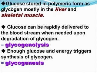 Glucose stored in polymeric form as
glycogen mostly in the liver and
skeletal muscle.
 Glucose can be rapidly delivered to
the blood stream when needed upon
degradation of glycogen.
= glycogenolysis
 Enough glucose and energy triggers
synthesis of glycogen.
= glycogenesis
 