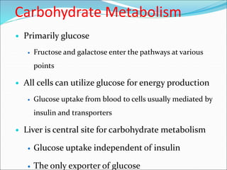 Carbohydrate Metabolism
 Primarily glucose
 Fructose and galactose enter the pathways at various
points
 All cells can utilize glucose for energy production
 Glucose uptake from blood to cells usually mediated by
insulin and transporters
 Liver is central site for carbohydrate metabolism
 Glucose uptake independent of insulin
 The only exporter of glucose
 
