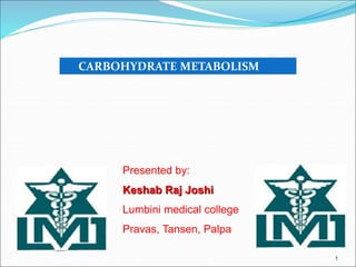 1
Presented by:
Keshab Raj Joshi
Lumbini medical college
Pravas, Tansen, Palpa
CARBOHYDRATE METABOLISM
 