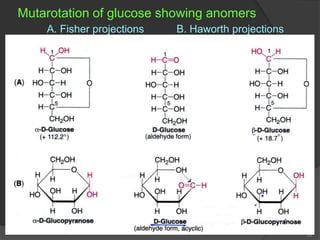 Mutarotation Example CARBOHYDRATE new (2).ppt