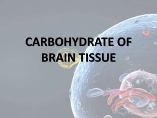 CARBOHYDRATE OF
BRAIN TISSUE
 