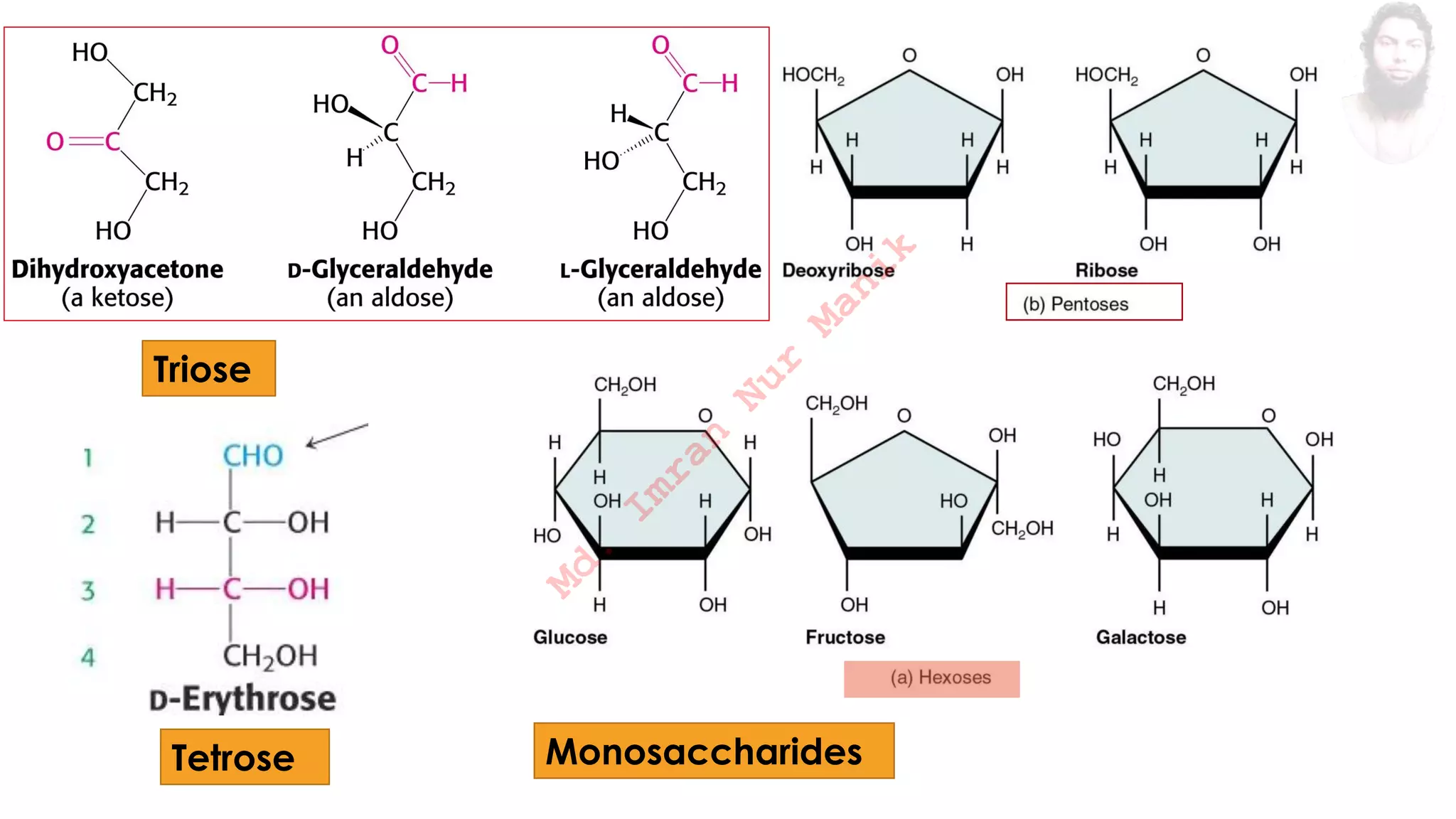 Carbohydrate Pharmacognosy MANIK PDF