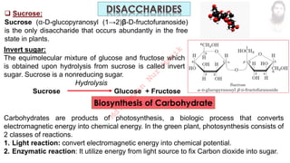❑ Sucrose:
Sucrose (α-D-glucopyranosyl (1→2)β-D-fructofuranoside)
is the only disaccharide that occurs abundantly in the free
state in plants.
Invert sugar:
The equimolecular mixture of glucose and fructose which
is obtained upon hydrolysis from sucrose is called invert
sugar. Sucrose is a nonreducing sugar.
Hydrolysis
Sucrose Glucose + Fructose
Biosynthesis of Carbohydrate
Carbohydrates are products of photosynthesis, a biologic process that converts
electromagnetic energy into chemical energy. In the green plant, photosynthesis consists of
2 classes of reactions.
1. Light reaction: convert electromagnetic energy into chemical potential.
2. Enzymatic reaction: It utilize energy from light source to fix Carbon dioxide into sugar.
M
d
.
I
m
r
a
n
N
u
r
M
a
n
i
k
 
