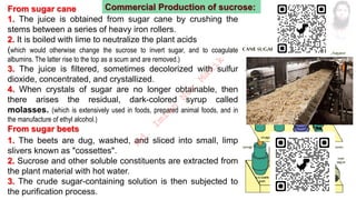 From sugar cane
1. The juice is obtained from sugar cane by crushing the
stems between a series of heavy iron rollers.
2. It is boiled with lime to neutralize the plant acids
(which would otherwise change the sucrose to invert sugar, and to coagulate
albumins. The latter rise to the top as a scum and are removed.)
3. The juice is filtered, sometimes decolorized with sulfur
dioxide, concentrated, and crystallized.
4. When crystals of sugar are no longer obtainable, then
there arises the residual, dark-colored syrup called
molasses. (which is extensively used in foods, prepared animal foods, and in
the manufacture of ethyl alcohol.)
From sugar beets
1. The beets are dug, washed, and sliced into small, limp
slivers known as "cossettes".
2. Sucrose and other soluble constituents are extracted from
the plant material with hot water.
3. The crude sugar-containing solution is then subjected to
the purification process.
Commercial Production of sucrose:
M
d
.
I
m
r
a
n
N
u
r
M
a
n
i
k
 