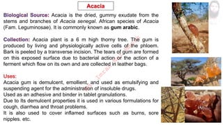 Acacia is the dried, gummy exudate from the
stems and branches of Acacia senegal. African species of Acacia
(Fam. Leguminosae). It is commonly known as gum arabic.
Acacia plant is a 6 m high thorny tree. The gum is
produced by living and physiologically active cells of the phloem.
Bark is peeled by a transverse incision. The tears of gum are formed
on this exposed surface due to bacterial action or the action of a
ferment which flow on its own and are collected in leather bags.
Acacia gum is demulcent, emollient, and used as emulsifying and
suspending agent for the administration of insoluble drugs.
Used as an adhesive and binder in tablet granulations.
Due to Its demulcent properties it is used in various formulations for
cough, diarrhea and throat problems.
It is also used to cover inflamed surfaces such as burns, sore
nipples. etc.
M
d
.
I
m
r
a
n
N
u
r
M
a
n
i
k
 