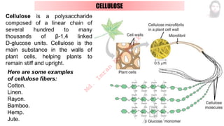 CELLULOSE
Here are some examples
of cellulose fibers:
Cotton.
Linen.
Rayon.
Bamboo.
Hemp.
Jute.
Cellulose is a polysaccharide
composed of a linear chain of
several hundred to many
thousands of β-1,4 linked
D-glucose units. Cellulose is the
main substance in the walls of
plant cells, helping plants to
remain stiff and upright.
M
d
.
I
m
r
a
n
N
u
r
M
a
n
i
k
 