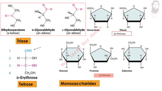 Monosaccharides
Triose
Tetrose
M
d
.
I
m
r
a
n
N
u
r
M
a
n
i
k
 