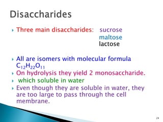  Three main disaccharides: sucrose
maltose
lactose
 All are isomers with molecular formula
C12H22O11
 On hydrolysis they yield 2 monosaccharide.
 which soluble in water
 Even though they are soluble in water, they
are too large to pass through the cell
membrane.
24
 