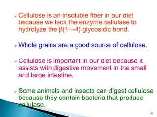  Cellulose is an insoluble fiber in our diet
because we lack the enzyme cellulase to
hydrolyze the (1→4) glycosidic bond.
 Whole grains are a good source of cellulose.
 Cellulose is important in our diet because it
assists with digestive movement in the small
and large intestine.
 Some animals and insects can digest cellulose
because they contain bacteria that produce
cellulase.
40
 