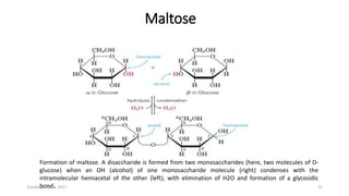Maltose
Formation of maltose. A disaccharide is formed from two monosaccharides (here, two molecules of D-
glucose) when an OH (alcohol) of one monosaccharide molecule (right) condenses with the
intramolecular hemiacetal of the other (left), with elimination of H2O and formation of a glycosidic
bond.Tuesday, May 23, 2017 22
 