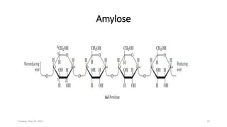 Amylose
Tuesday, May 23, 2017 29
 