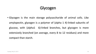 Glycogen
• Glycogen is the main storage polysaccharide of animal cells. Like
amylopectin, glycogen is a polymer of (alpha 1 4)-linked subunits of
glucose, with (alpha1 6)-linked branches, but glycogen is more
extensively branched (on average, every 8 to 12 residues) and more
compact than starch.
Tuesday, May 23, 2017 30
 