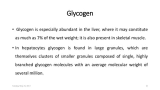 Glycogen
• Glycogen is especially abundant in the liver, where it may constitute
as much as 7% of the wet weight; it is also present in skeletal muscle.
• In hepatocytes glycogen is found in large granules, which are
themselves clusters of smaller granules composed of single, highly
branched glycogen molecules with an average molecular weight of
several million.
Tuesday, May 23, 2017 32
 