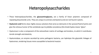 Heteropolysaccharides
• These heteropolysaccharides, the glycosaminoglycans, are a family of linear polymers composed of
repeating disaccharide units. They are unique to animals and bacteria and are not found in plants.
• Hyaluronic acid forms clear, highly viscous solutions that serve as lubricants in the synovial fluid of joints and
give the vitreous humor of the vertebrate eye its jellylike consistency (the Greek hyalos means “glass”.
• Hyaluronan is also a component of the extracellular matrix of cartilage and tendons, to which it contributes
tensile strength and elasticity.
• Hyaluronidase, an enzyme secreted by some pathogenic bacteria, can hydrolyze the glycosidic linkages of
hyaluronan, rendering tissues more susceptible to bacterial invasion.
Tuesday, May 23, 2017 37
 