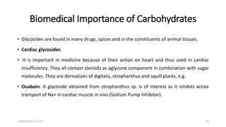 Biomedical Importance of Carbohydrates
• Glycosides are found in many drugs, spices and in the constituents of animal tissues.
• Cardiac glycosides:
• It is important in medicine because of their action on heart and thus used in cardiac
insufficiency. They all contain steroids as aglycone component in combination with sugar
molecules. They are derivatives of digitalis, strophanthus and squill plants, e.g.
• Ouabain: A glycoside obtained from strophanthus sp. is of interest as it inhibits active
transport of Na+ in cardiac muscle in vivo (Sodium Pump inhibitor).
Tuesday, May 23, 2017 44
 