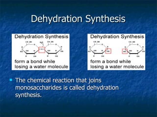 Dehydration Synthesis The chemical reaction that joins monosaccharides is called dehydration synthesis. 