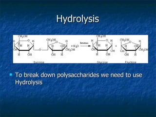 Hydrolysis To break down polysaccharides we need to use Hydrolysis 