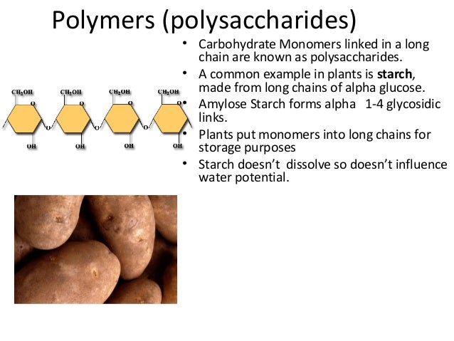 Carbohydrates 130513135303phpapp01