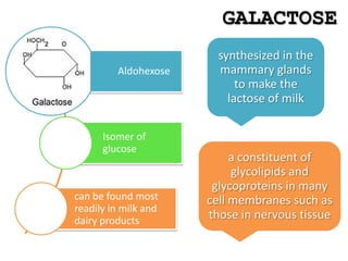GALACTOSE
synthesized in the
mammary glands
to make the
lactose of milk
a constituent of
glycolipids and
glycoproteins in many
cell membranes such as
those in nervous tissue
Aldohexose
Isomer of
glucose
can be found most
readily in milk and
dairy products
 