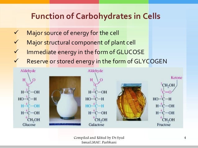 Primary function of carbohydrates in the body