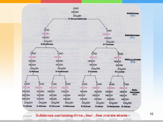 carbohydrates-131204014552-phpapp02 (1).pdf