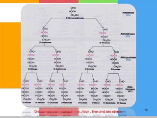 D-Aldoses containing three , four , five and six atoms 10
 