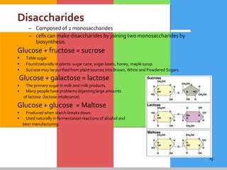 15
Disaccharides
– Composed of 2 monosaccharides
– cells can make disaccharides by joining two monosaccharides by
biosynthesis.
Glucose + fructose = sucrose
 Table sugar
 Foundnaturally in plants: sugar cane, sugar beets, honey, maple syrup
 Sucrose may be purified from plant sources into Brown, White and Powdered Sugars.
Glucose + galactose = lactose
• The primary sugar in milk and milk products.
• Many people have problems digestinglarge amounts
of lactose (lactose intolerance)
Glucose + glucose = Maltose
• Produced when starch breaks down.
• Used naturally in fermentation reactions of alcohol and
beer manufacturing.
 
