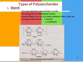 19
Types of Polysaccharides
1. Starch
– The major digestible polysaccharide in our diet.
– The storage form of carbohydrate in plants.
– Sources: Wheat, rice, corn, rye, barley, potatoes, tubers, yams, etc.
– Two types of plant starch: 1. Amylose
2. Amylopectin
 