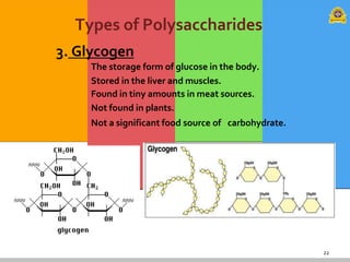 22
Types of Polysaccharides
3. Glycogen
The storage form of glucose in the body.
Stored in the liver and muscles.
Found in tiny amounts in meat sources.
Not found in plants.
Not a significant food source of carbohydrate.
 