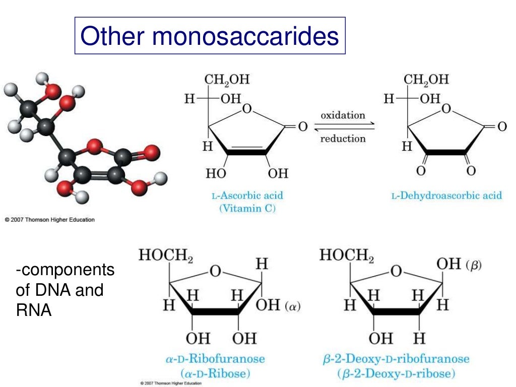 free download structure of carbohydrates free download structure of carbohydrates