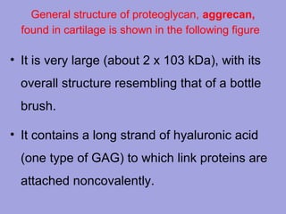 General structure of proteoglycan, aggrecan,
found in cartilage is shown in the following figure

• It is very large (about 2 x 103 kDa), with its
overall structure resembling that of a bottle
brush.
• It contains a long strand of hyaluronic acid
(one type of GAG) to which link proteins are
attached noncovalently.

 