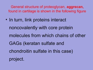 General structure of proteoglycan, aggrecan,
found in cartilage is shown in the following figure

• In turn, link proteins interact
noncovalently with core protein
molecules from which chains of other
GAGs (keratan sulfate and
chondroitin sulfate in this case)
project.

 